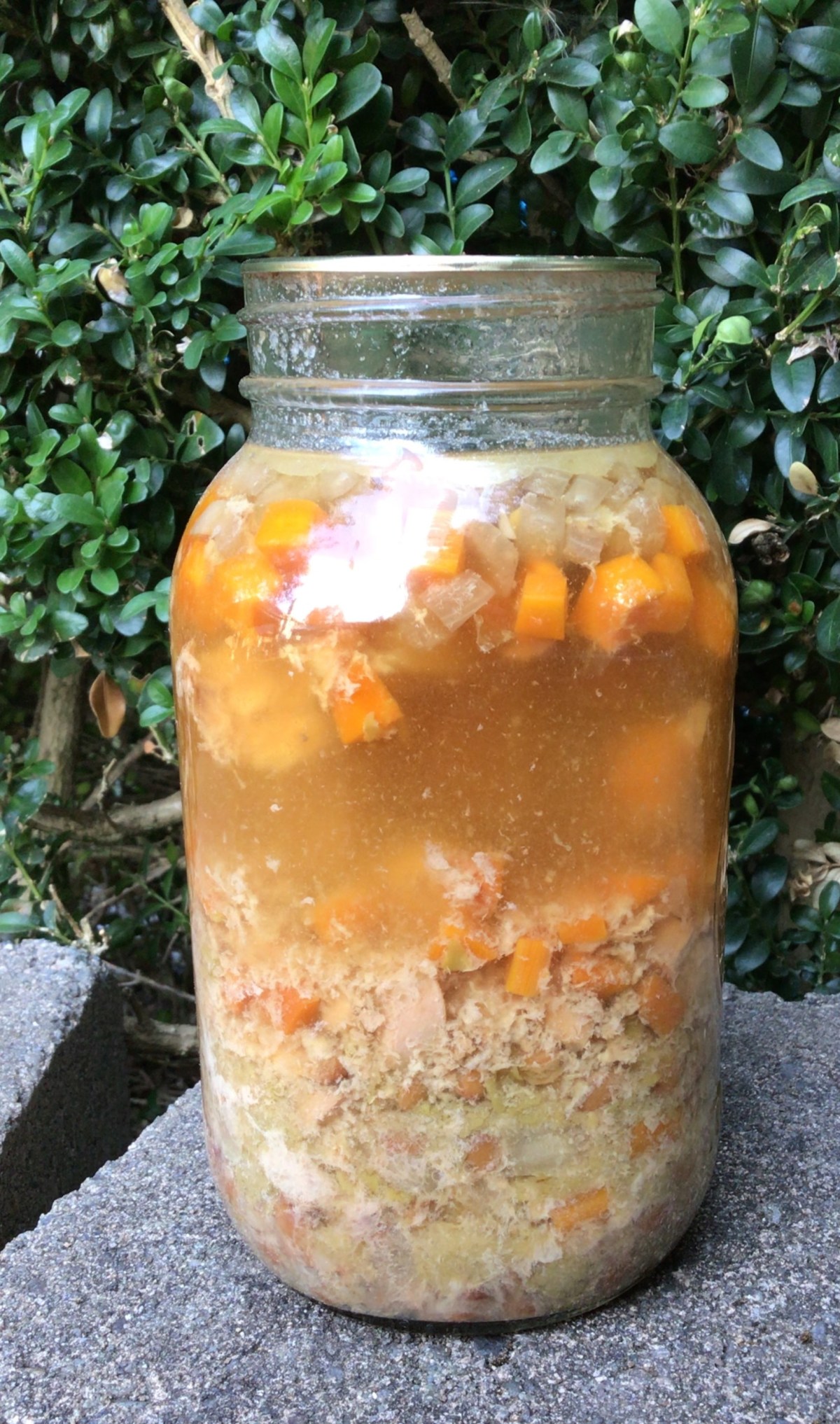 Comfort In a&nbsp;Jar