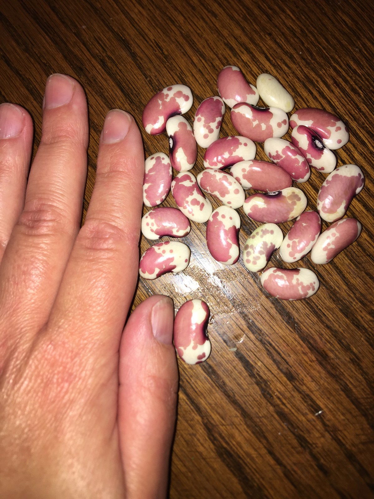 What about the&nbsp;Shell?