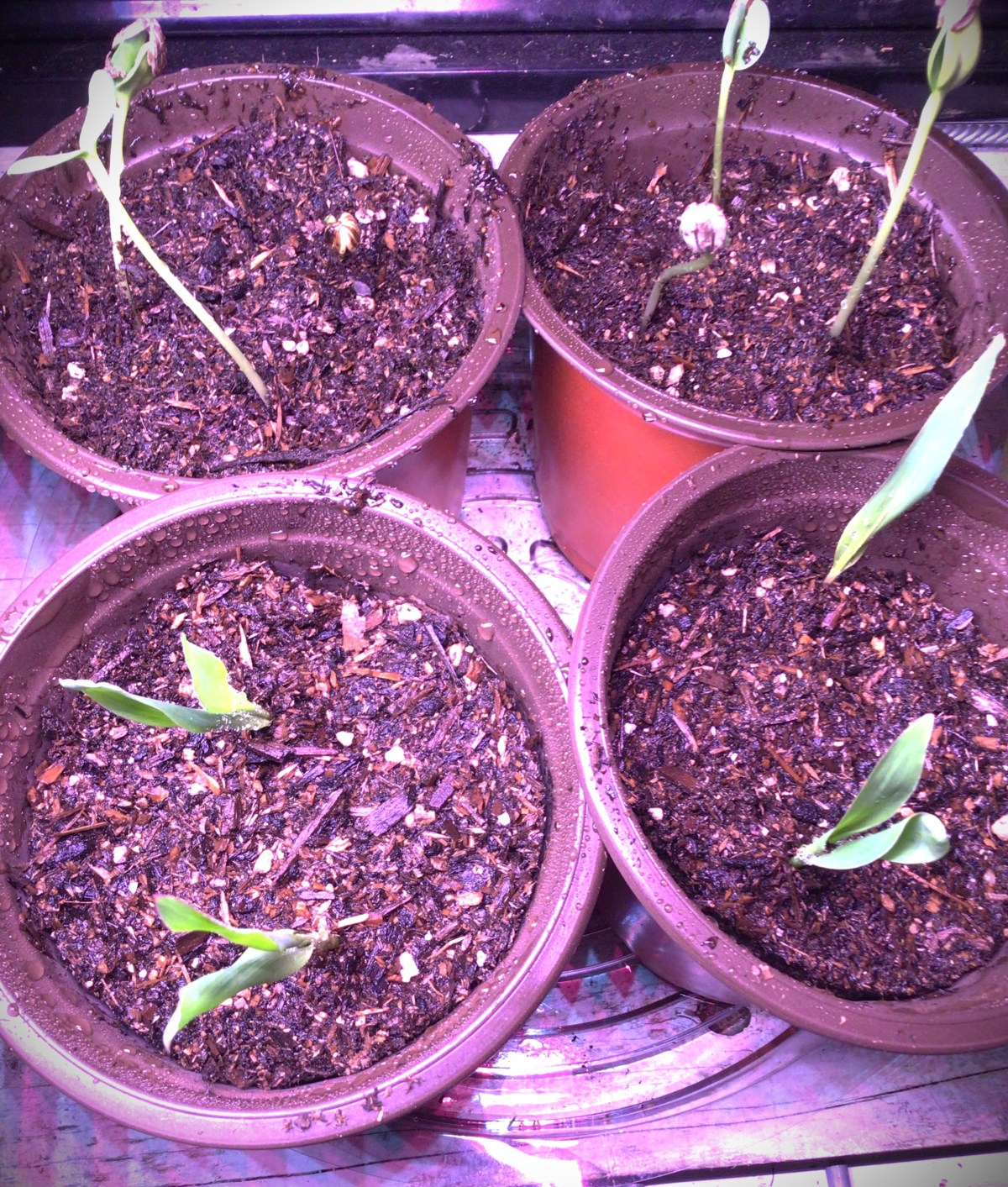 Starting On Your&nbsp;Own