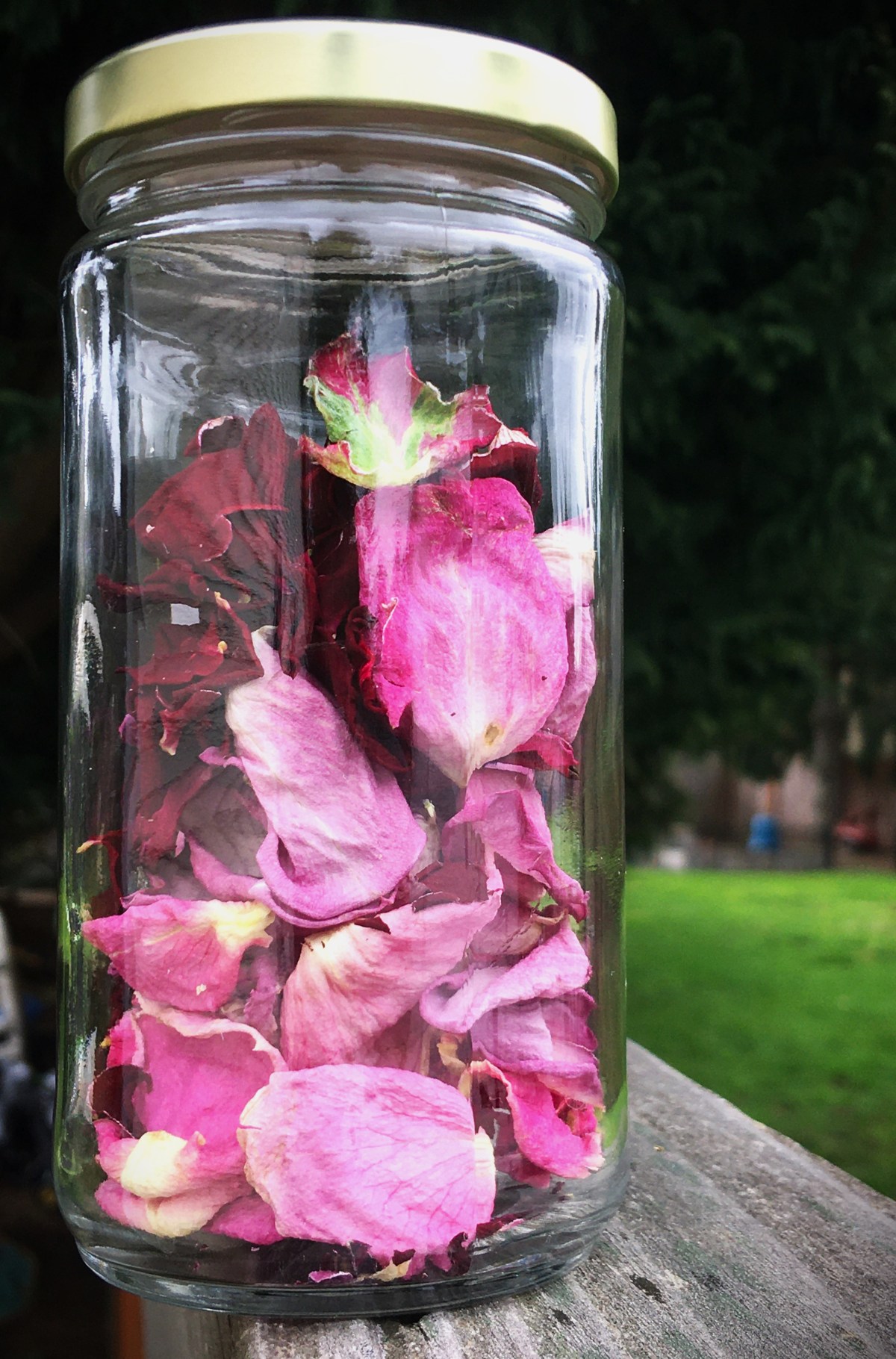 More Than Arm&nbsp;Candy