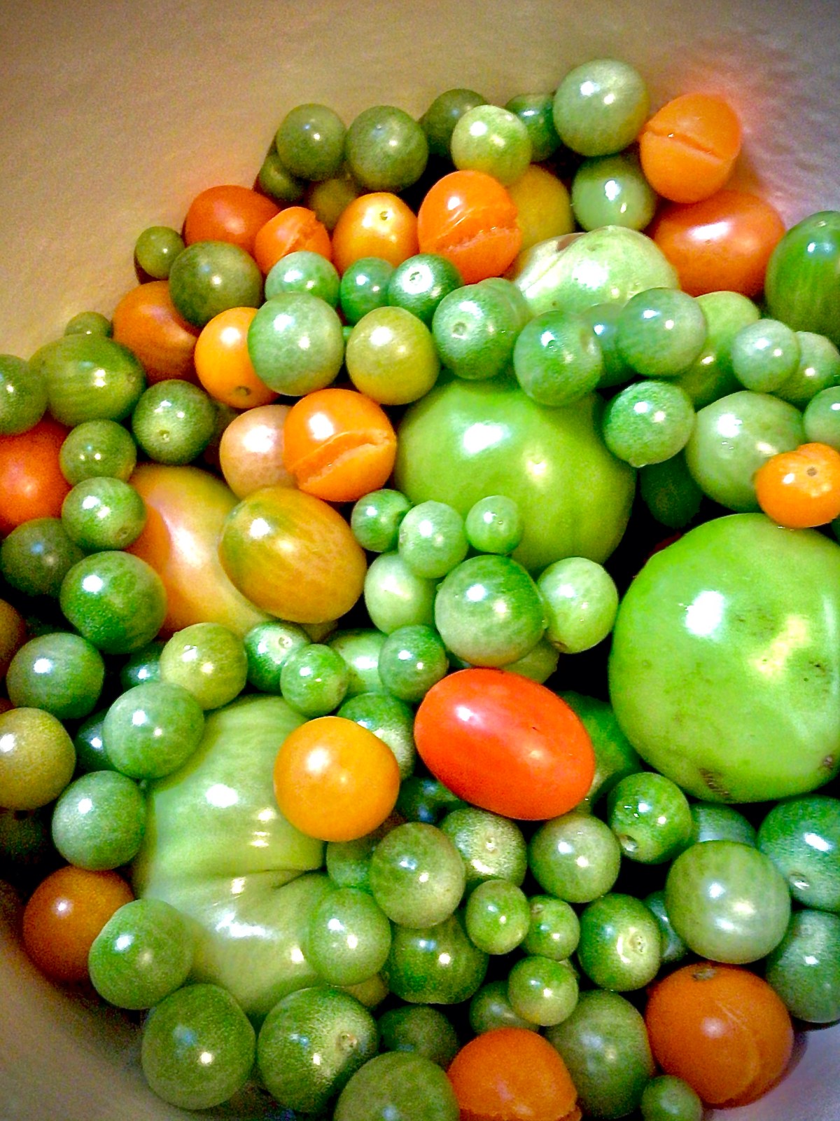 End of Season&nbsp;Green